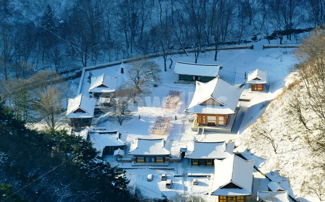 내장사,설경,국립공원,사찰,폭설,겨울,계절,winter,season,한국전통,한국문화,korean traditional,korean culture,건축물,건물외관,exterior,building,structure,architecture,construction