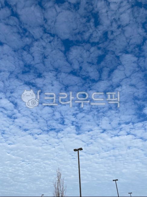 sky,blue sky,canada sky,flock of clouds,Sunny