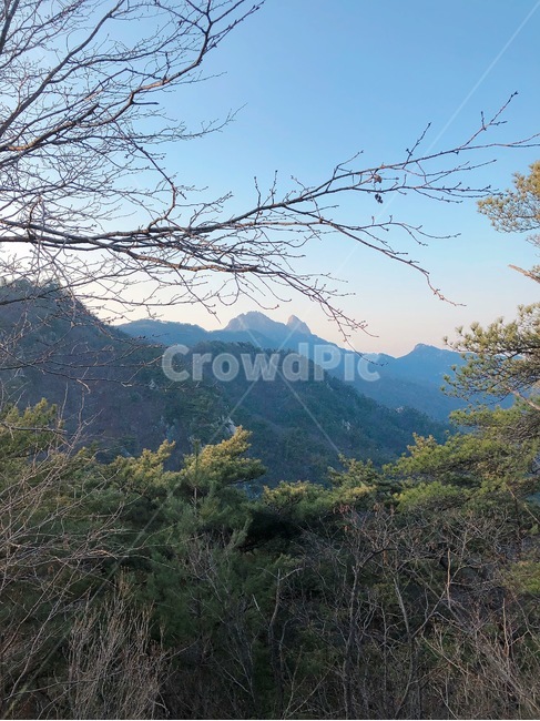 산,풍경,나무,하늘,뒷산