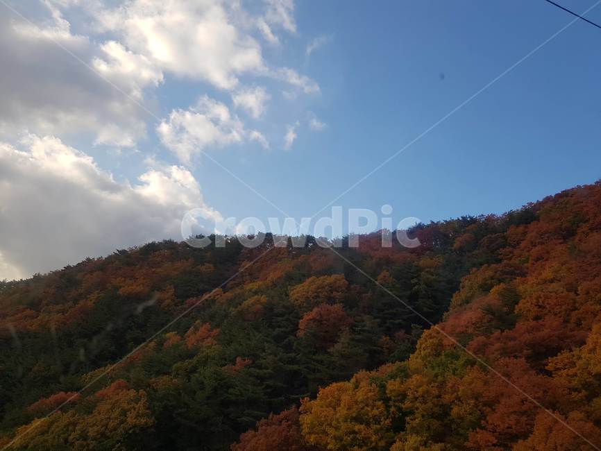 대구,팔공산,산,풍경,하늘,단풍