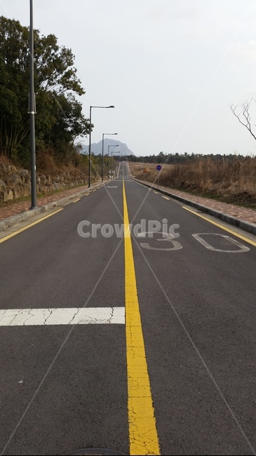 도로,가로등,중앙선,길,차도,road,street,centerline,way,path