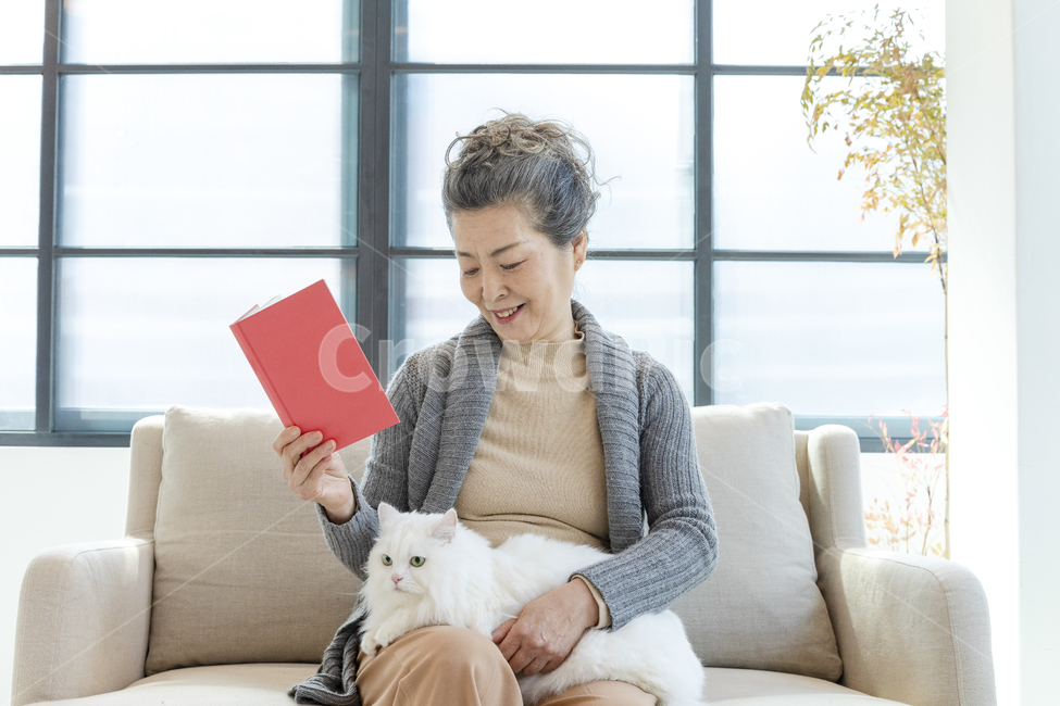고양이,노인,여성,일상,반려동물,은퇴,여가,여유,행복,미소,만족,즐거움,생활,인테리어,실내,소파,의자,창문,하얀고양이,무릎냥,나이든여성,흰색,회색,붉은색,베이지색,따뜻함,포근함,할머니,60대여성,70대여성,흰머리,사랑,신뢰,동거,반려,애완동물,동물,백발,우아한,고귀한,귀여운,안기다,앉다,마주보다,웃다,책,타블릿,읽다