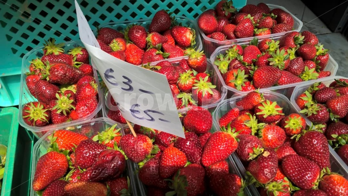 딸기,red,strawberry,europe,fruits