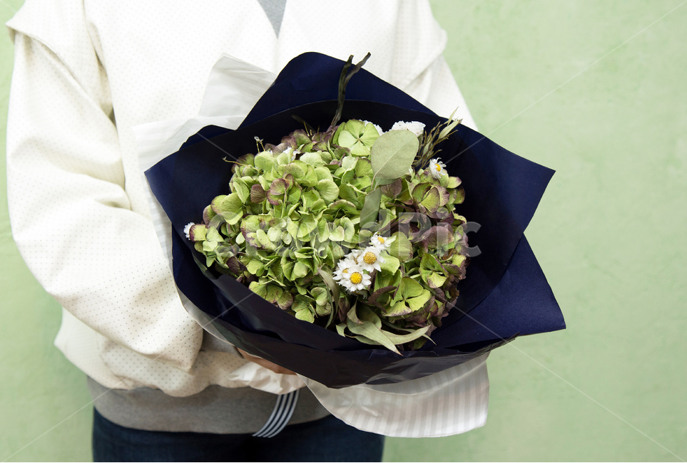 수국꽃다발,수국,꽃다발,선물,녹색,식물,자연,plants,nature,꽃,flower,기념일,축하,anniversary,congratulation,celebrate,celebration