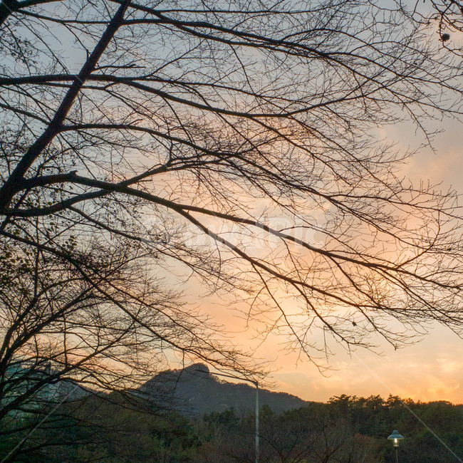 가을,하늘,관악산,나무,저녁,night,fall,sky,mountain,tree,자연,풍경,nature,landscape,outdoors,옥외,dusk,황혼,sunset,일몰,dawn,새벽,red sky,붉은 하늘