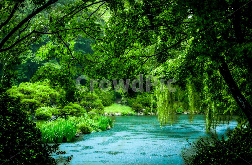 숲,물,호수,숲속,여름,산책,휴식,힐링,자연,풍경,nature,landscape,휴식,힐링,rest,relaxation,healing,water,outdoors,옥외,land,땅,plant,식물