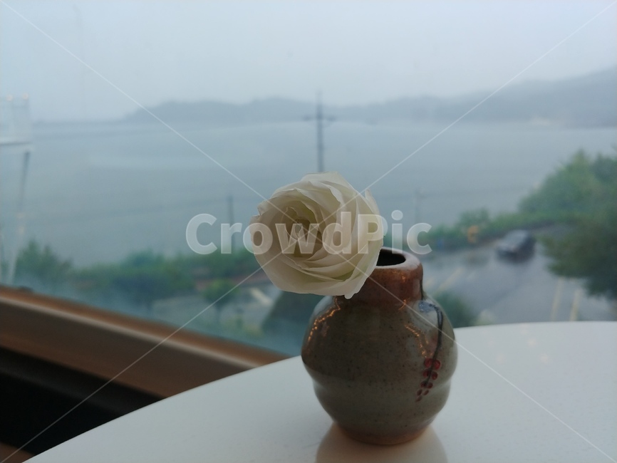 식물,병장식,꽃,jar,도기류