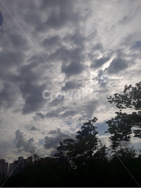 nature,자연,weather,구름,하늘,sky,적운,자연,풍경,nature,landscape,날씨,outdoors,옥외,cumulus,cloud