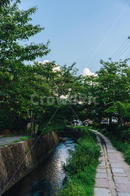 ,kyoto,travel destination,brook,Tetsugakunomichi,distance,japan,Kyoto,ditch,touristspots,trail,Japan travel,street,Path of Philosophy,Japanese street,Tourist destination,travel