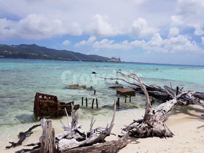 wood,나무,driftwood,유목,바다,sea,하늘,무인도,자연,풍경,nature,landscape
