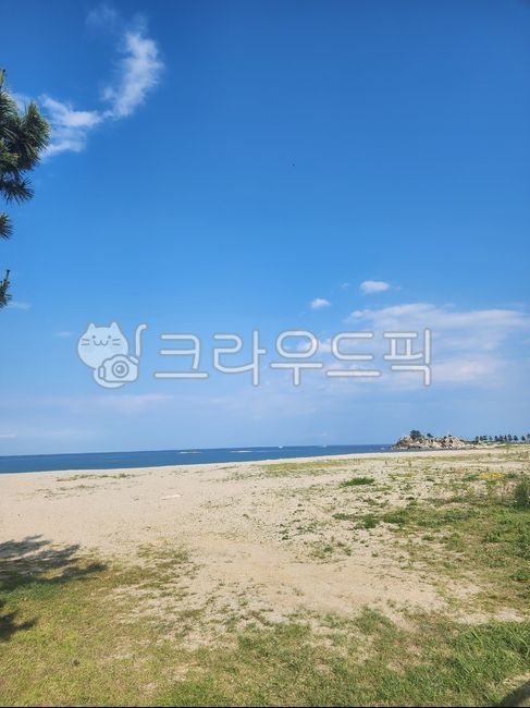 summer,자연,sky,nature,하늘