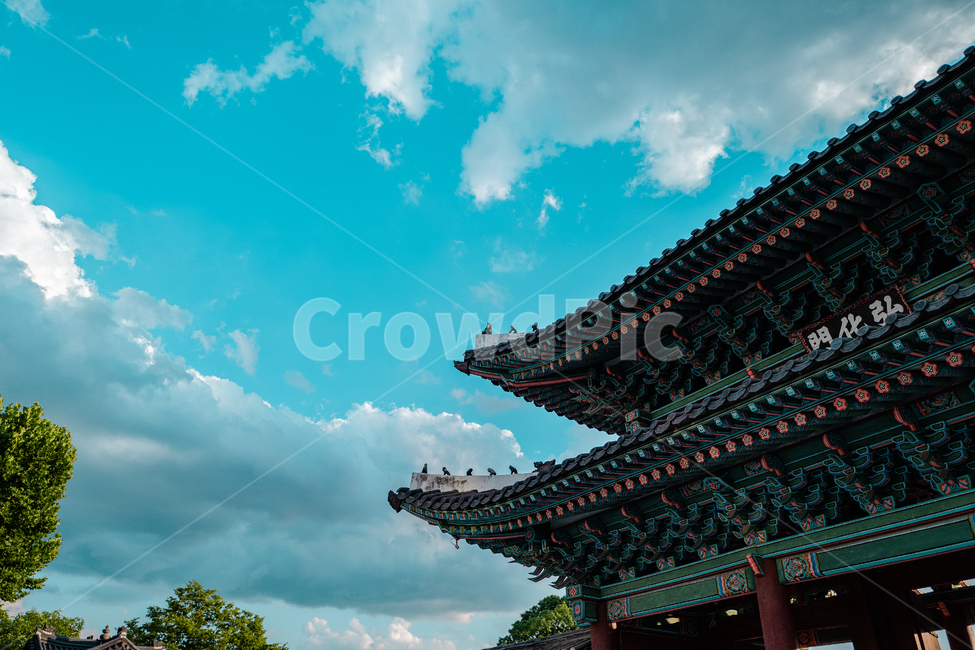 한국,고궁,궁궐,창경궁,하늘,구름,나무,한국전통,한국문화,korean traditional,korean culture,건축물,건물외관,exterior,building,structure,architecture,construction