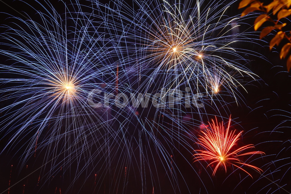 불꽃,야경,불꽃축제,풍경,축제
