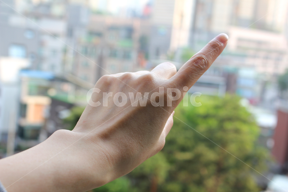 손,핸드,여자,여자손,성인,어른,사람,인체,신체,신체부위,부위,손가락,검지,팔목,방향,가리키다,손,제스처,표시,손짓,표현,gesture,hand,sign,expression