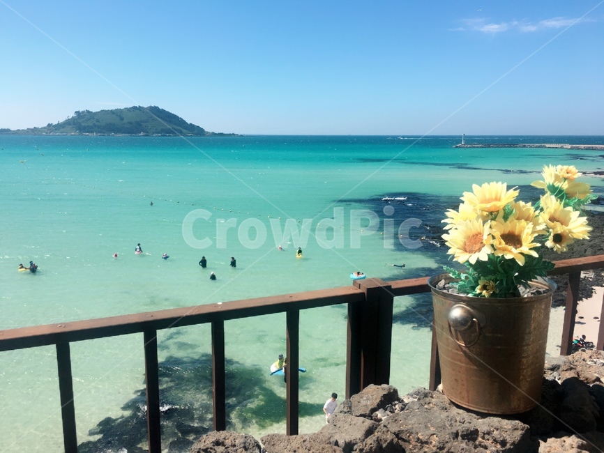 해변,제주도,바다,제주도바다,여름
