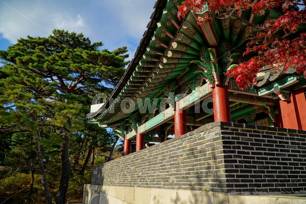 숙정문,한양도성,성문,성곽,한국,한국전통,문화재,유적,유적지,korea,서울,seoul,culturalassets,culturaltreasure,culturalproperties,성벽,캐슬,castle,한옥,전통,기와,가을,풍경,10월,autumn,fall,landscape,october,숙청문,하늘,구름,sky,heaven,cloud,자연,nature,나무,숲,숲속,건축,전통건물,건물,목조,목조건물,산림,삼림,한국문화,전통문화,한국적인,단청,한국전통,한국문화,korean traditional,korean culture,건축물,건물외관,exterior,building,structure,architecture,construction
