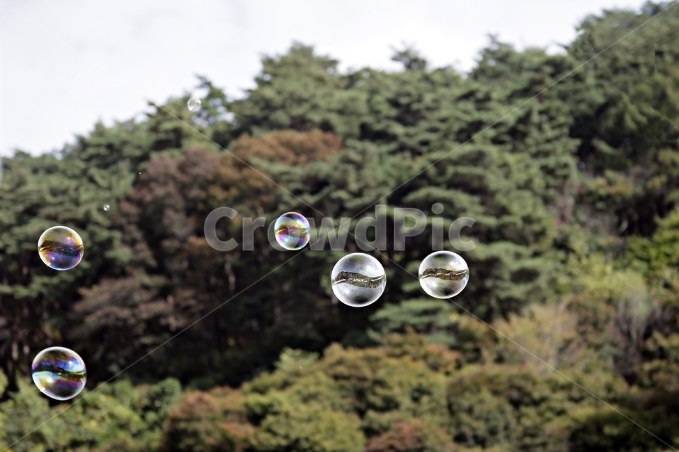 정물사진,objet,bubble,비누방울,풍경,자연,풍경,nature,landscape,감성,sensible,feeling