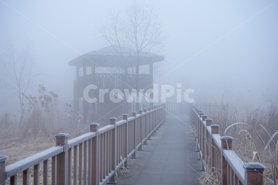 안개,공원,풍경,시설물,정자,겨울,계절,감성,겨울,계절,winter,season,자연,풍경,nature,landscape,weather,날씨,outdoors,옥외