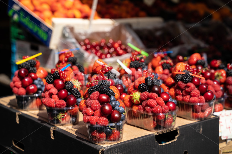 과일,plant,식물,산딸기,food,음식,fruit,raspberry