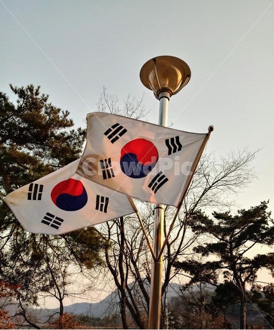 태극기,삼일절,국기,광복절,깃발,대한민국,국기봉