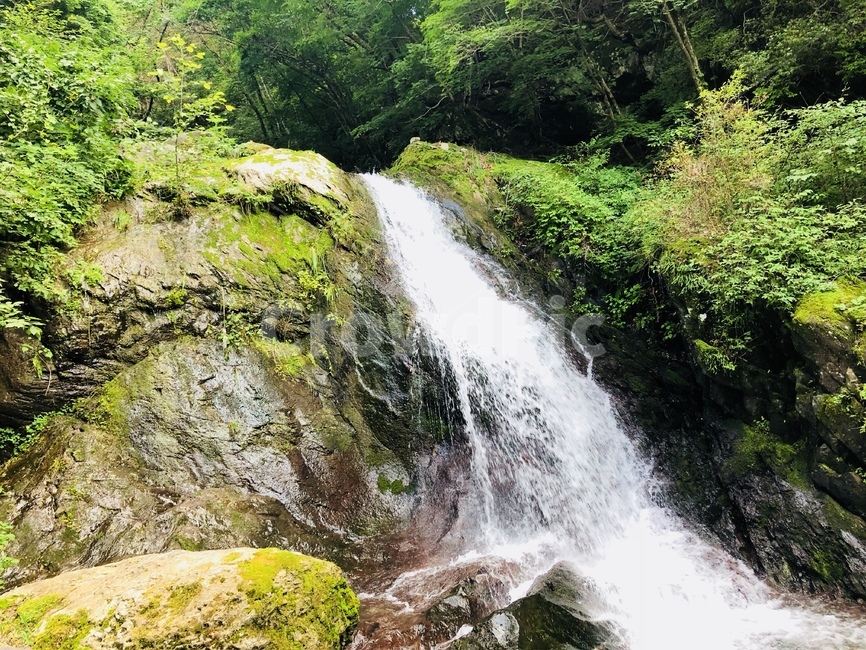 여름,초록,시원,폭포,자연,nature,자연,풍경,nature,landscape,water,물,outdoors,옥외,river,강,waterfall