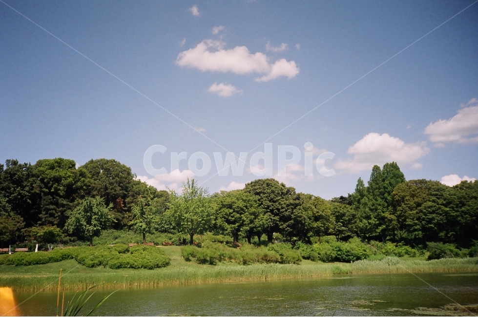 올림픽공원,숲,호수,맑음,필름카메라,초여름,구름,olympicpark,forest,lake,sunny,filmcamera