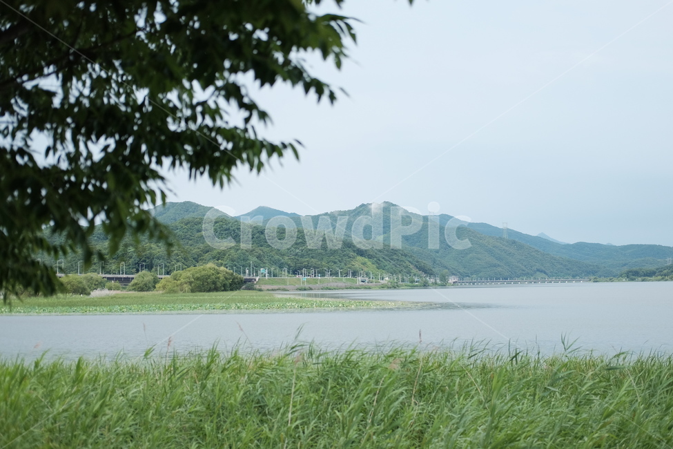 풍경,두물머리,양평,호수,저수지,풀밭,양평풍경,한국풍경,국내풍경,여유,회복,가족여행,한국,경기도,산