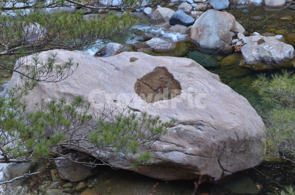 대원사,산청군,지리산대원사계곡길,바위,바위와소나무