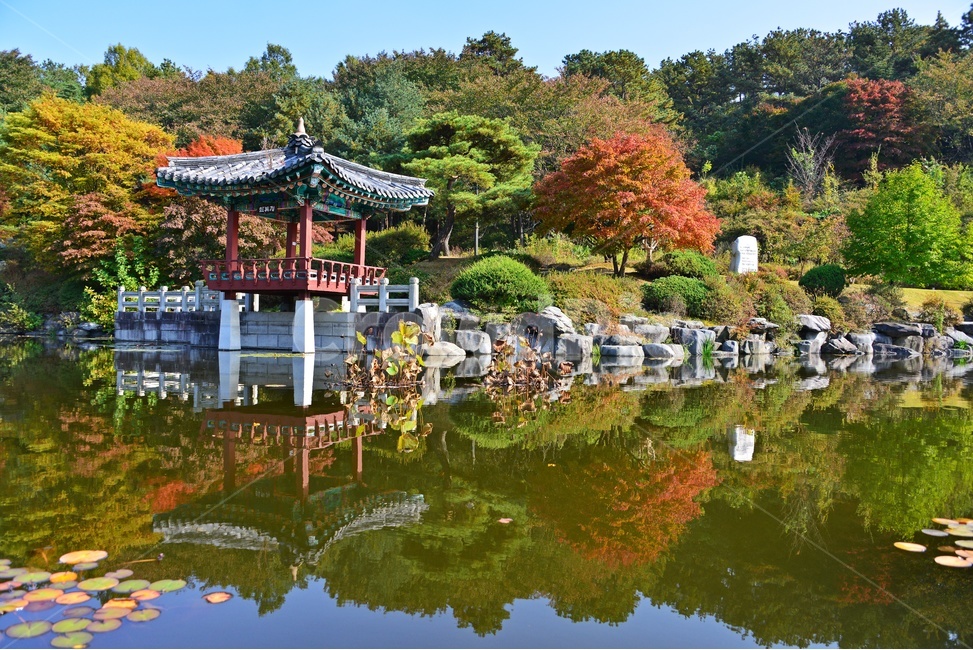 nature,자연,outdoors,옥외,architecture,건축물,water,물,plant,식물,tree,나무,현충원,국립현충원,국립,현충지,추색,가을,계절,만추,단풍,단풍잎,반영,정자,경치,경관,풍경