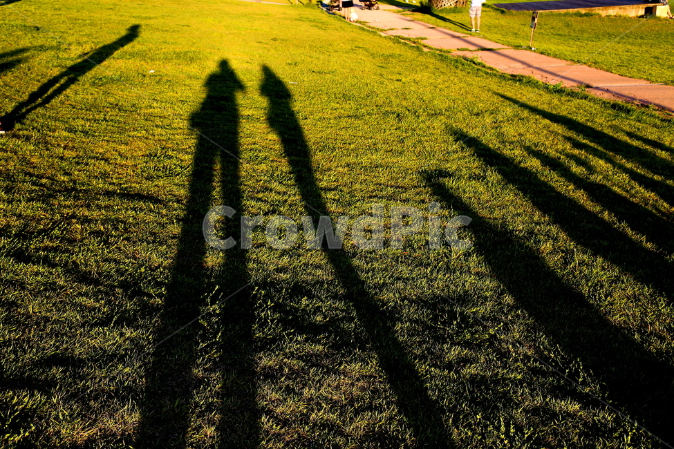 human shadow,shadow,nature,sight,grassland