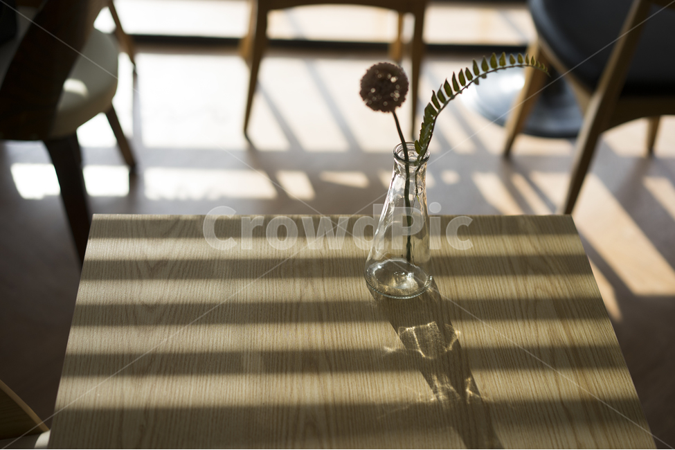 빛과그림자,빛,그림자,테이블,자리,실내용화초,화분,화초,house plant