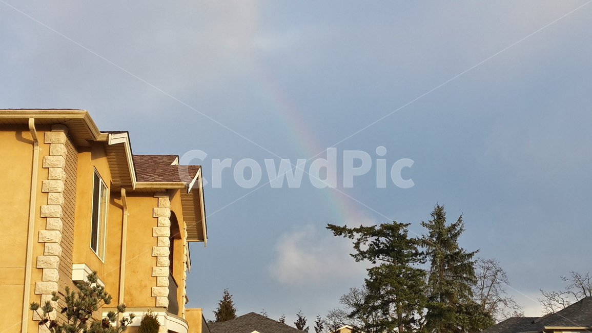 무지개,rainbow,하늘,나무,집,노란집,건축물,건물외관,exterior,building,structure,architecture,construction