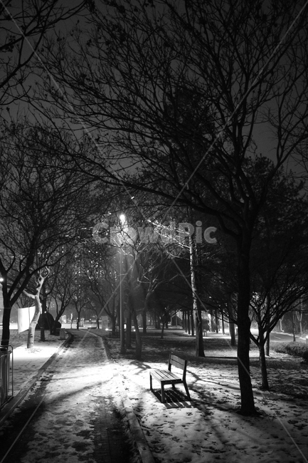 춘천,조각공원,공지천,흑백,공원,가로등,밴치,겨울,야경,anightphotograph,blackandwhite,garden,winter,night,sculpturepark,park,astreetlamp,banch,gongjicheon,chuncheon