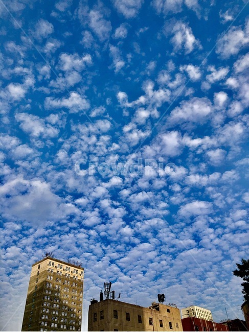 nature,자연,weather,날씨,outdoors,옥외,cloud,구름,cumulus,적운,sky,하늘,day,everyday,일상,season,감성,감성사진,sensitivity,building