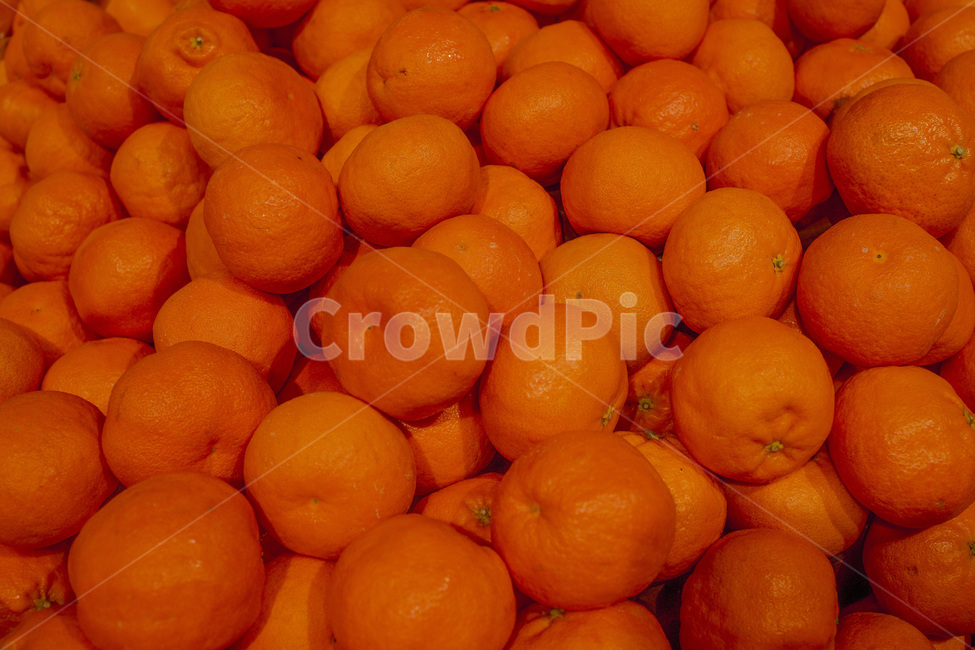 agriculture,autumn,background,color,farm,food,fresh,fruit,healthy,market,natural,nature,orange,organic,ripe,sweet,vegetable,yellow,오렌지,과일,디저트,달콤,과즙,귤