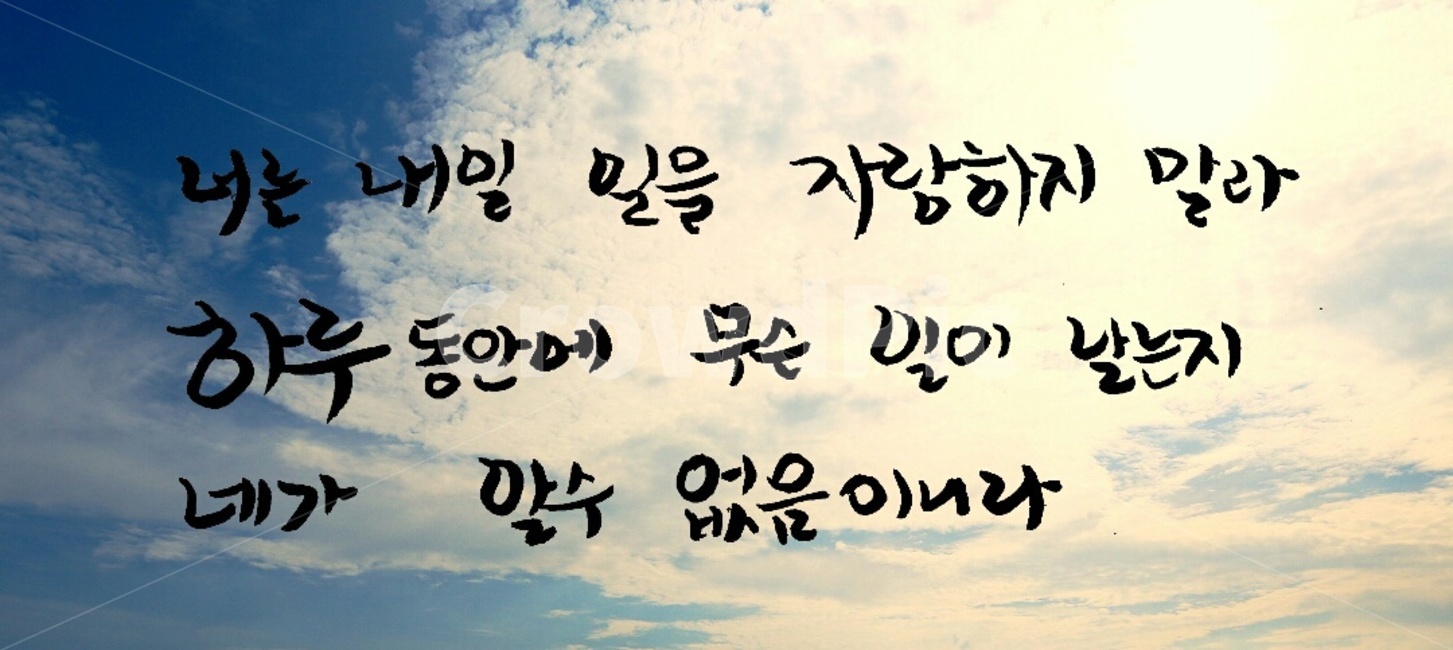 캘리그라피,성경,바이블,손글씨,자랑,성경구절,bible,종교,신앙,religion,belief,faith,캘리그라피,손글씨,calligraphy