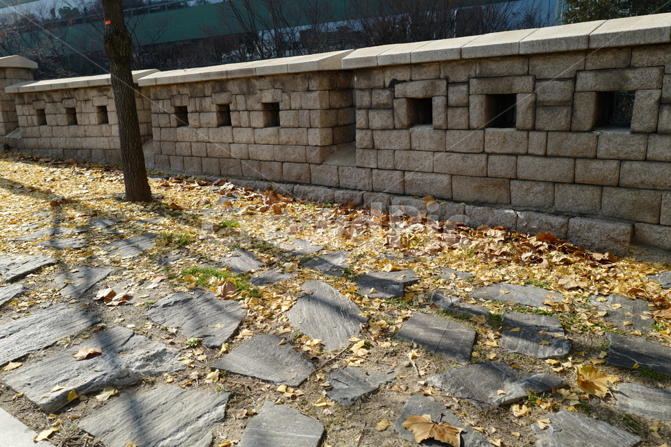 소월로,은행나무,낙엽,가을,길,그림자,나무,성벽,산책로,가을,계절,fall,autumn,season,flagstone,판석,path,통로,walkway,보도