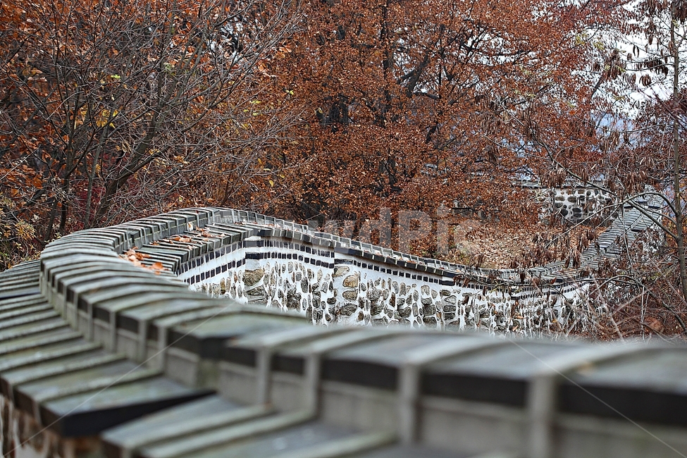 남한산성,성,성곽,단풍,낙엽,길,둘레길,숲,숲길,담,돌담,가을,자연,풍경,벽,울긋불긋,산성,식물,가을,계절,fall,autumn,season,한국전통,한국문화,korean traditional,korean culture,건축물,건물외관,exterior,building,structure,architecture,construction