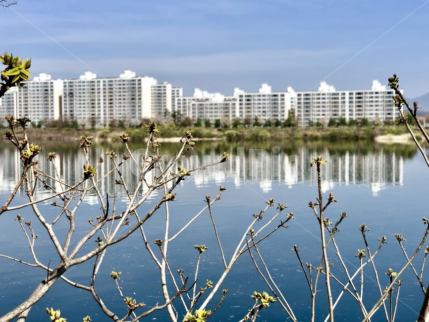봄,강,자연,풍경,춘천,강변산책로,봄빛,자연의색,청량,nature,river,산책로,강물,ecology,물결,맑음,식물,자연,plants,nature,꽃,flower