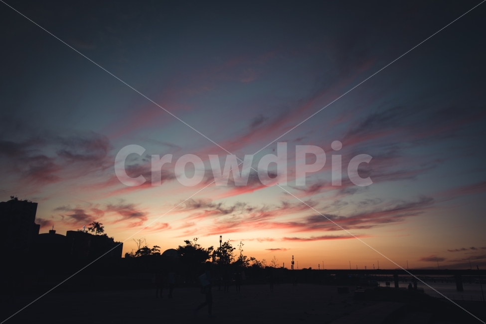 하늘,노을,핑크빛,신비로운,구름,도시,풍경,city,landscape,실루엣,그림자,silhouette,shadow,nature,자연,outdoors,옥외,dusk,황혼,dawn,새벽,red sky,붉은 하늘,sky,sunset,일몰