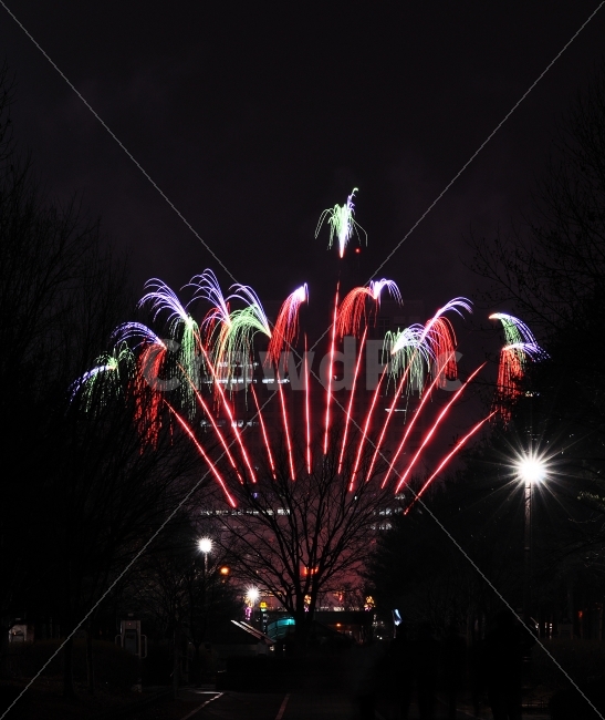 불꽃놀이,야경,불꽃,firework,nightview,야경,밤,풍경,nightscape,night,landscape,축제,행사,festival,carnival,event,nature,자연,outdoors,옥외