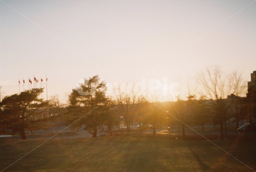 노을,flare,플레어,light,빛,해질녘,자연,풍경,nature,landscape