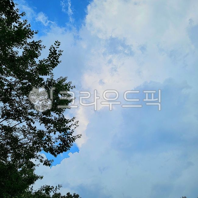 하늘, 감성, 풍경, 파랑, 자연, 사진,이미지,일러스트,캘리그라피 - 생새우마라탕작가
