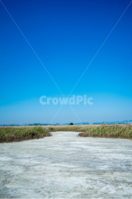 봄,가을,자연,풍경,들판,들녘,감성,가을,계절,fall,autumn,season,자연,풍경,nature,landscape,outdoors,옥외,land,땅