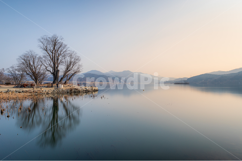 두물머리,한강,nature,자연,water,물,나무,tree,한국자연풍경,한국자연경관,korea nature landscape