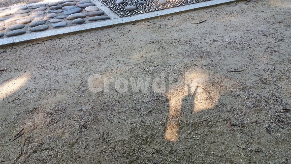 바닥,흙,모래,흙바닥,길바닥,햇빛,그림자,v,손모양,손,road,sand,sunshine,shadow,hand,finger