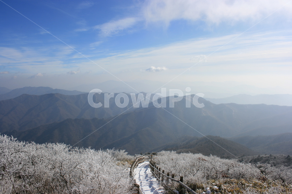 자연,설산,산,겨울,등산로,길,풍경