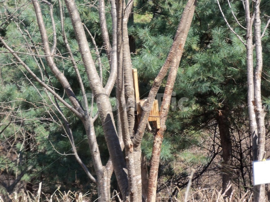 새먹이,먹이통,산새,산새먹이,새