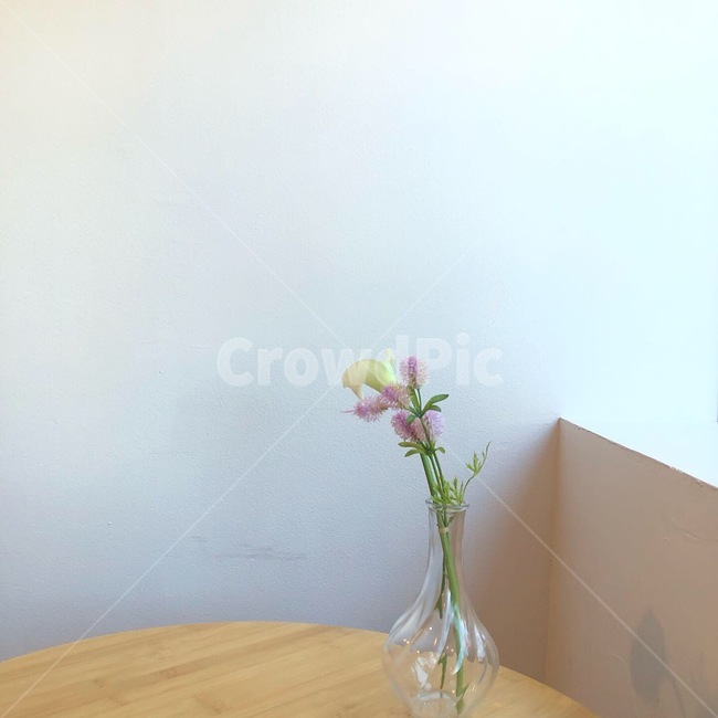 꽃,배경,여백,카페,하얀색