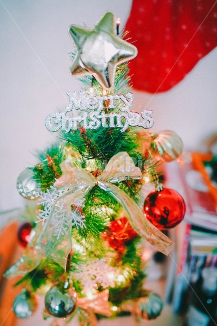 크리스마스,christmas,트리,장식,별,stra,christmastree,merrychristmas,반짝,12월,겨울,12월25일,25일,성탄절,크리스마스준비,행복,동심,산타,산타할아버지,happy,snowchristmas,겨울,계절,winter,season,기념일,축하,anniversary,congratulation,celebrate,celebration,메리크리스마스,성탄절,merry christmas,감성,sensible,feeling